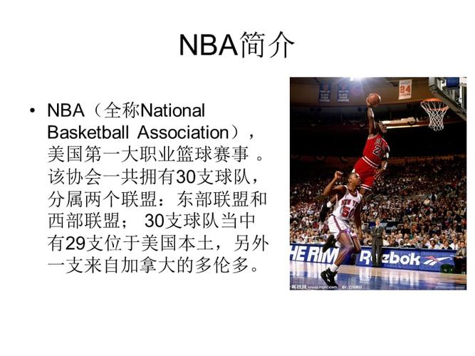 现尼克斯在
